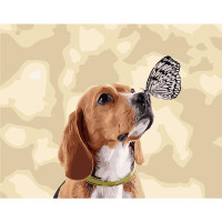 Картина за номерами Метелик та щеня 40х50 см SY6099