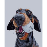 Картина за номерами Пес-бейсболіст 40х50 см SY6127