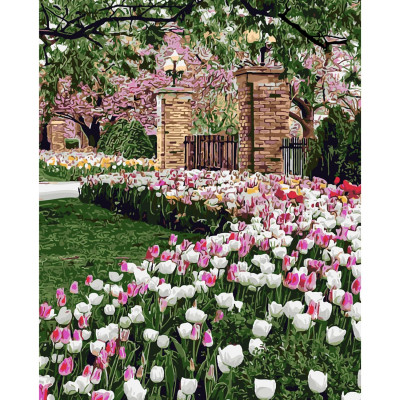 Картина за номерами Тюльпани біля будинку 40х50 см SY6131