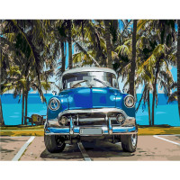 Картина за номерами На парковці Малібу 40х50 см SY6162