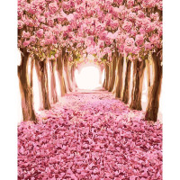 Картина за номерами Алея уві сні 40х50 см SY6197