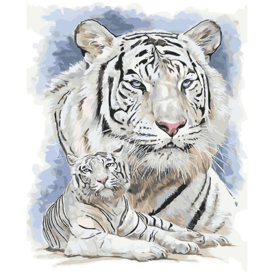Картина по номерам Белые тигры 40х50 см SY6211