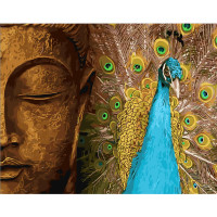 Картина за номерами Павич та божество 40х50 см SY6233