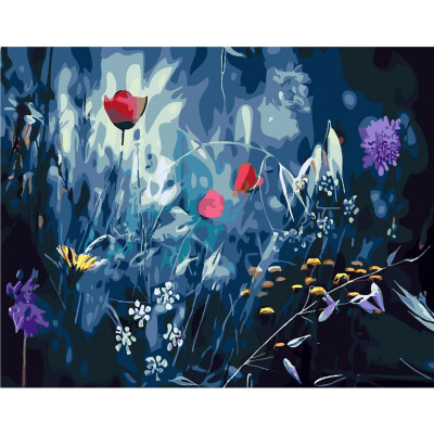 Картина по номерам Полевые цветы ночью 40х50 см SY6312