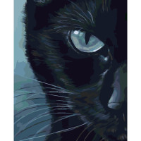 Холодний погляд 40х50 см SY6333