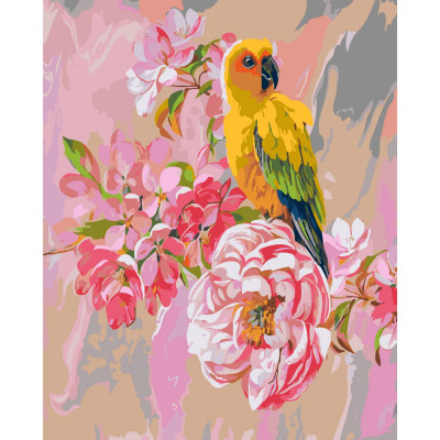 Картина по номерам Акварельный попугайчик 40х50 см SY6369