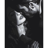 Картина за номерами Дихання ніжності 40х50 см SY6376