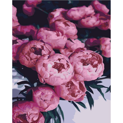 Картина за номерами Рожеві бутони 40х50 см SY6449