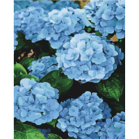 Картина за номерами Блакитні бутони 40х50 см SY6463