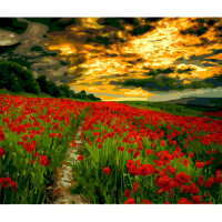 Картина за номерами Strateg ПРЕМІУМ Небо над маковим полем з лаком розміром 40х50 см (SY6617)