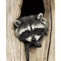 Картина по номерам Загадочный Енот 40х50 см VA-0249