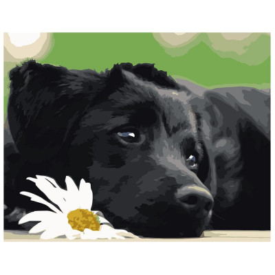 Картина по номерам Черный щенок 40х50 см VA-0518