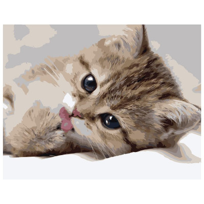Картина по номерам Маленький котенок 40х50 см VA-0522