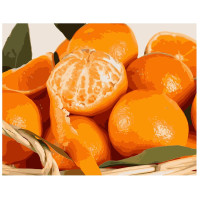 Картина за номерами Мандарини 40х50 см VA-0536