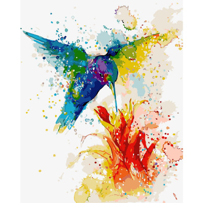 Картина по номерам Разноцветное колибри 40х50 см VA-0686
