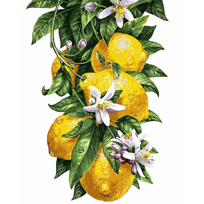 Картина по номерам Лимоны 40х50 см VA-0817