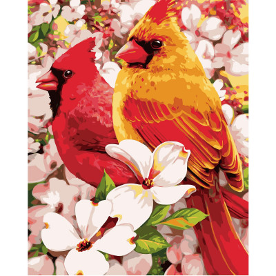Картина за номерами Птахи у квітах 40х50 см VA-0922