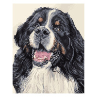 Картина за номерами Вірний пес 40х50 см VA-1220