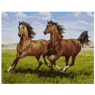Картина по номерам Свободные лошади 40х50 см VA-1495