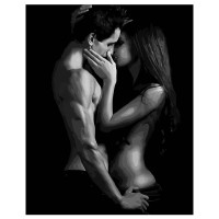 Картина за номерами Поцілунок 40х50 см VA-1550