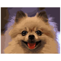 Картина по номерам Портрет шпица 40х50 см VA-1672