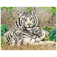 Картина по номерам Семья бенгальских тигров 40х50 см VA-1705