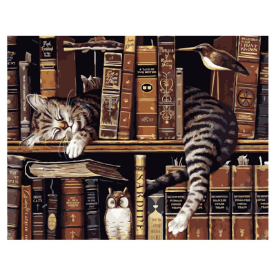 Картина за номерами Котик на полиці з книгами 40х50 см VA-1726 Картина за номерами Котик на полиці з книгами 40х50 см VA-1726