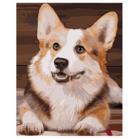 Картина по номерам Милый корги 40х50 см VA-1750