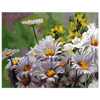 Картина за номерами Ромашки -2 40х50 см VA-1771