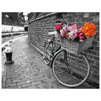 Картина за номерами Велосипед на бруківці Ч/Б 40х50 см VA-1817