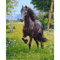 Картина по номерам Арабский конь 40х50 см VA-1844