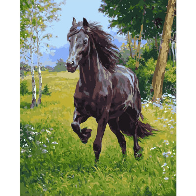 Картина за номерами Арабський кінь 40х50 см VA-1844