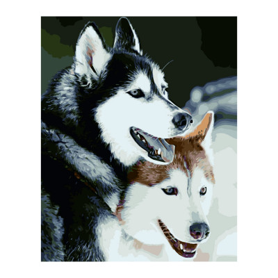 Картина за номерами Два хаски 40х50 см VA-2375 Картина за номерами Два хаски 40х50 см VA-2375