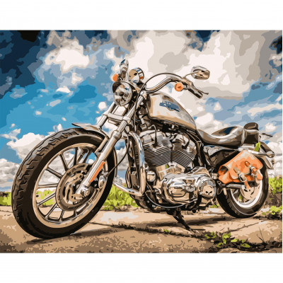 Картина по номерам Байк 40х50 см VA-2518 Картина по номерам Байк 40х50 см VA-2518