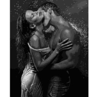 Картина по номерам Страсть под дождем 40х50 см VA-2520