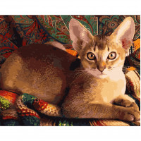 Картина за номерами Домашня кішка 40х50 см VA-2521