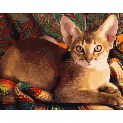 Картина по номерам Домашняя кошка 40х50 см VA-2521