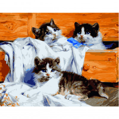 Картина за номерами Маленькі кошенята 40х50 см VA-2647