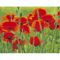 Картина по номерам Strateg Маки в поле на цветном фоне размером 40х50 см (VA-2660)