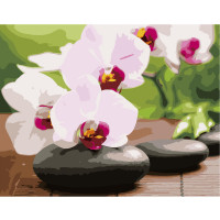 Картина по номерам Орхидеи на камушках 40х50 см VA-2661