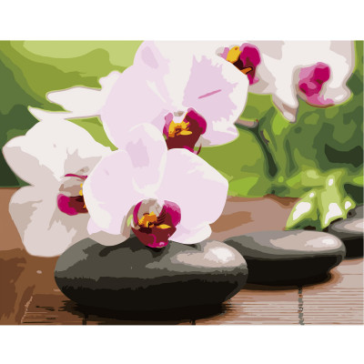 Картина за номерами Орхідеї на камінчиках 40х50 см VA-2661