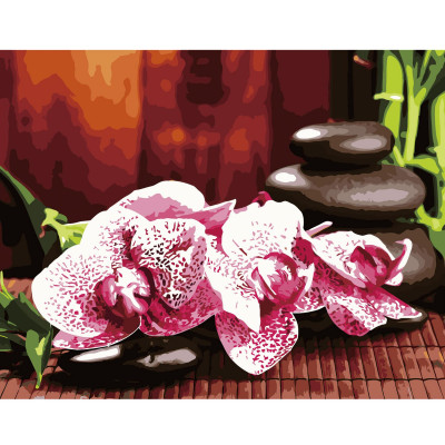 Картина по номерам Яркие орхидеи 40х50 см VA-2670