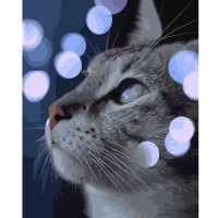 Картина по номерам Кот среди огоньков 40х50 см VA-2755