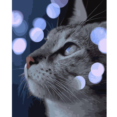 Картина за номерами Кіт серед вогників 40х50 см VA-2755 Картина за номерами Кіт серед вогників 40х50 см VA-2755