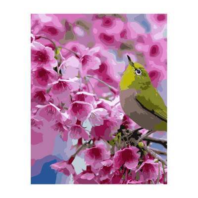 Картина по номерам Зеленая птичка на ветке 40х50 см VA-2846
