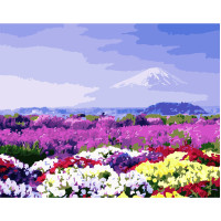 Картина по номерам Поле разноцветных цветов 40х50 см VA-2911