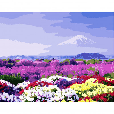 Картина по номерам Поле разноцветных цветов 40х50 см VA-2911 Картина по номерам Поле разноцветных цветов 40х50 см VA-2911