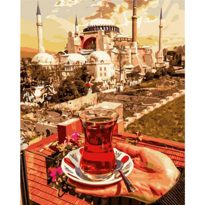 Картина по номерам Турция 40х50 см VA-2972 Картина по номерам Турция 40х50 см VA-2972