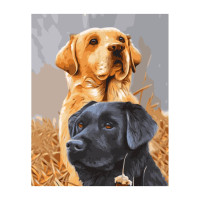 Картина по номерам Два ладбрадора 40х50 см VA-3038