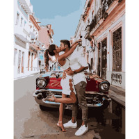 Картина за номерами Поцілунок при зустрічі 40х50 см VA-3108